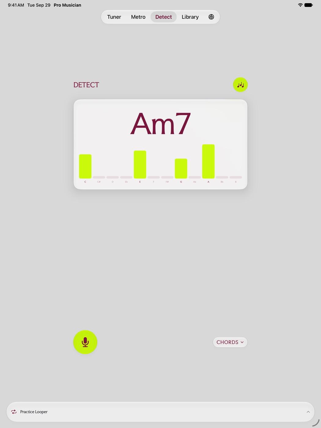 Detect on iPad