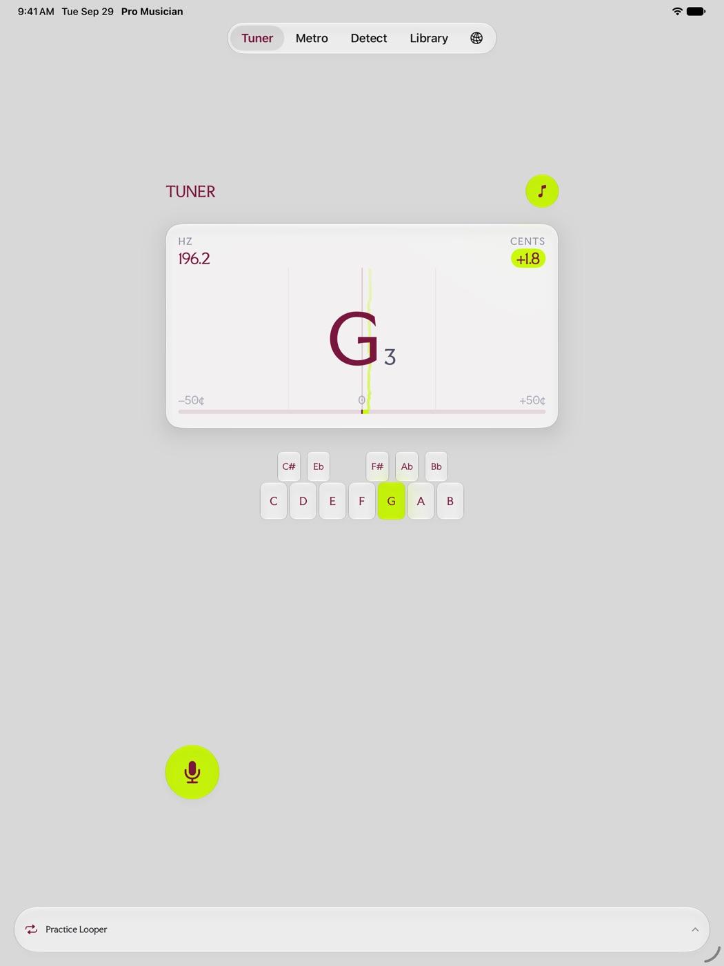 The tuner on iPad
